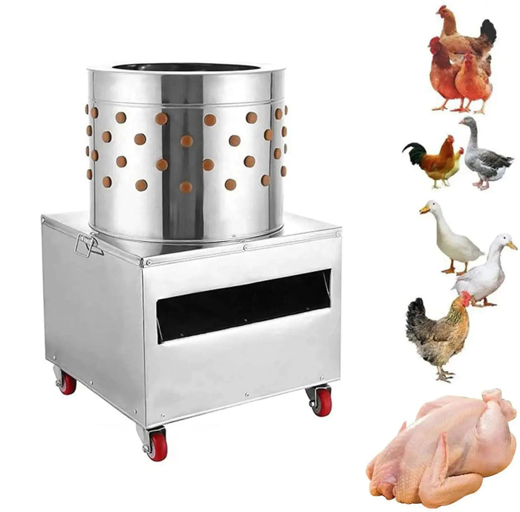 https://cdn.shopify.com/s/files/1/0557/4177/6041/products/23-Chicken-Plucking-Machine-Stainless-Steel-Drum-Caster-Wheels-Feather-Discharge-Chute-TMG-CP23-4.jpg?v=1751014011